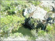 DSCF5761.jpg DSCF5761.jpg