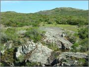 DSCF5763.jpg