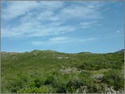 DSCF5765.jpg