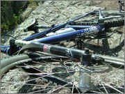 DSCF5767.jpg