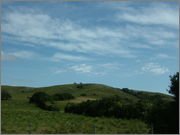 DSCF5773.jpg