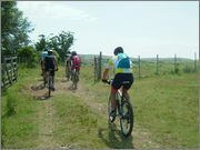 DSCF5774.jpg