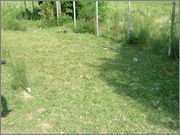 DSCF5775.jpg