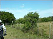 DSCF5777.jpg