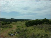 DSCF5779.jpg