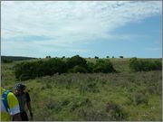 DSCF5786.jpg