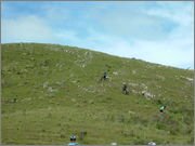 DSCF5814.jpg