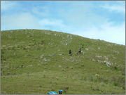 DSCF5815.jpg