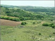 DSCF5823.jpg