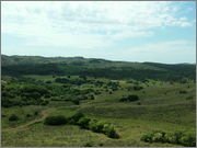 DSCF5824.jpg