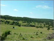 DSCF5833.jpg