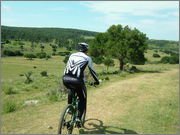 DSCF5834.jpg