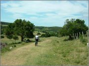 DSCF5835.jpg