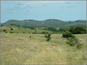 DSCF5842.jpg