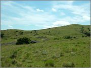 DSCF5844.jpg