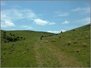 DSCF5845.jpg