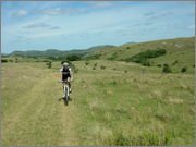 DSCF5847.jpg