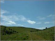 DSCF5849.jpg