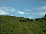 DSCF5850.jpg
