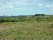 DSCF5861.jpg