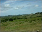 DSCF5866.jpg