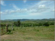 DSCF5867.jpg