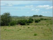 DSCF5876.jpg