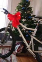 christmas-mountain-bike.jpg