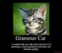 grammer-cat-demotivational-poster-1215383601.jpg