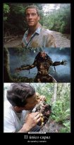 BearGrylls_2.jpg