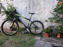DSC02013.jpg