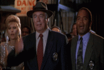 naked-gun-facepalm.gif