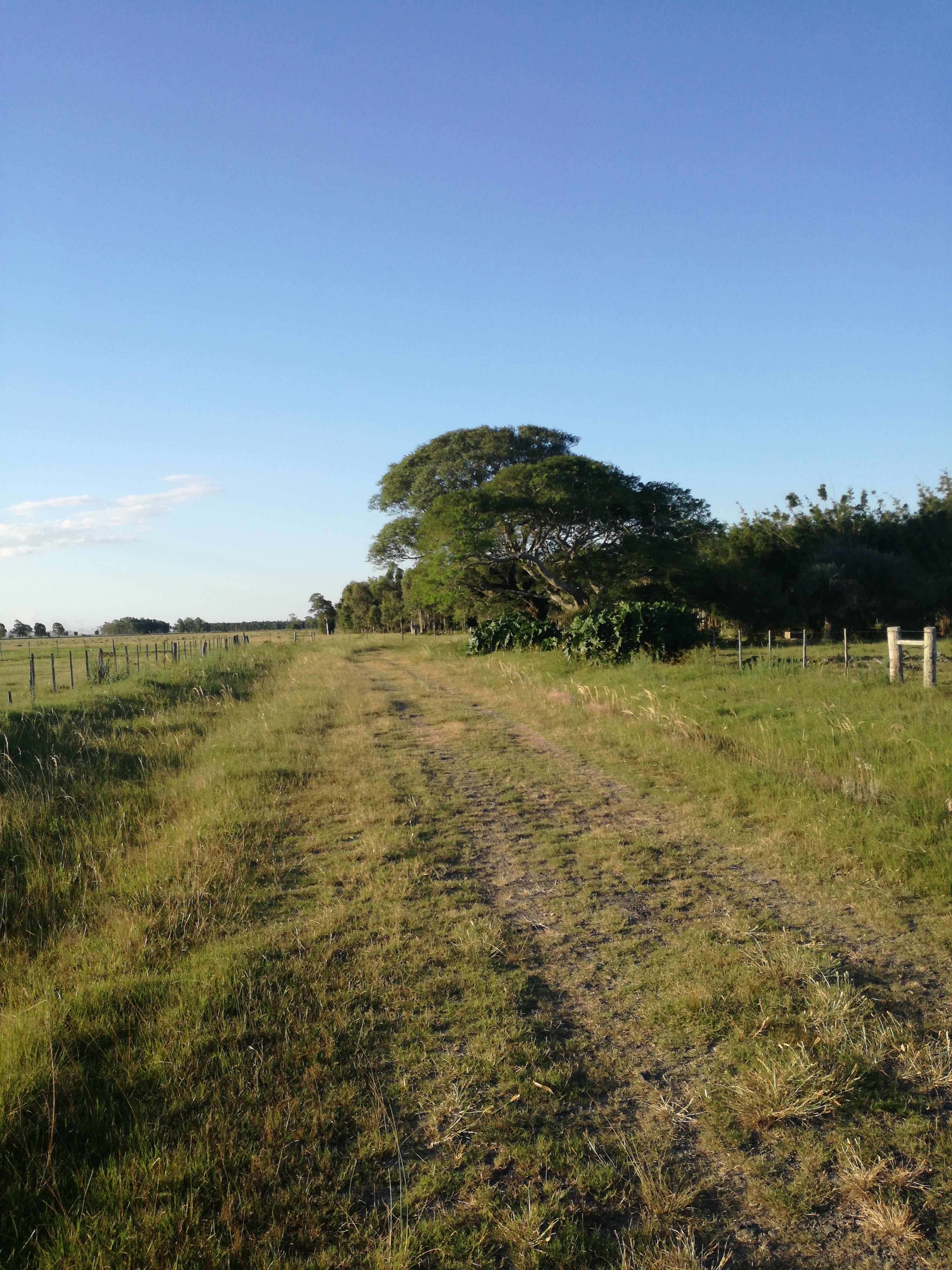 Camino coronilla a ruta 26