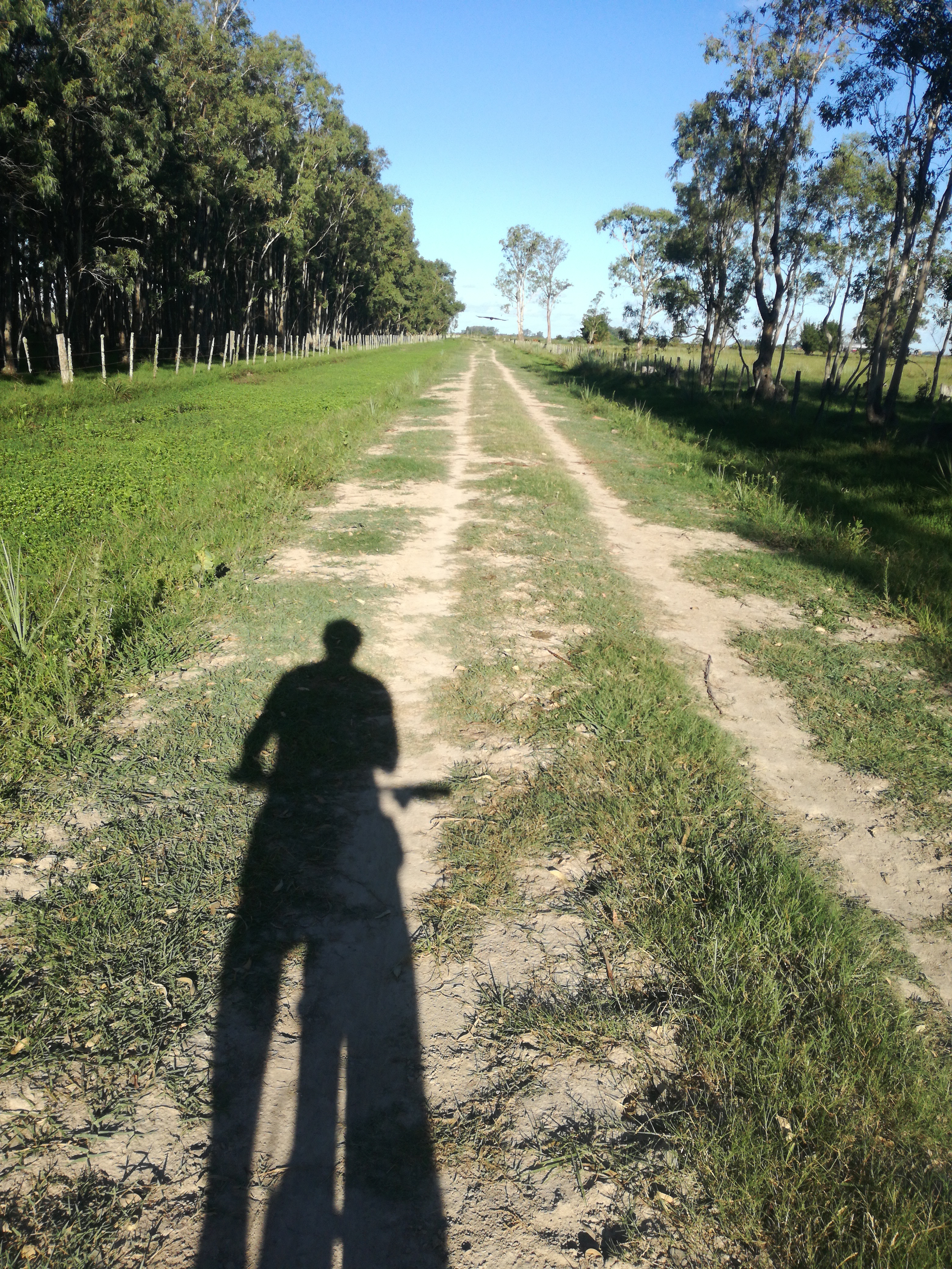 Caminos mas del sur