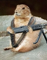 killer_hamster.jpg